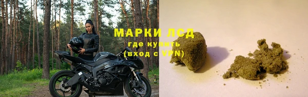 ГАЛЛЮЦИНОГЕННЫЕ ГРИБЫ Аркадак