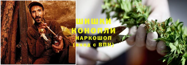 ГАЛЛЮЦИНОГЕННЫЕ ГРИБЫ Аркадак